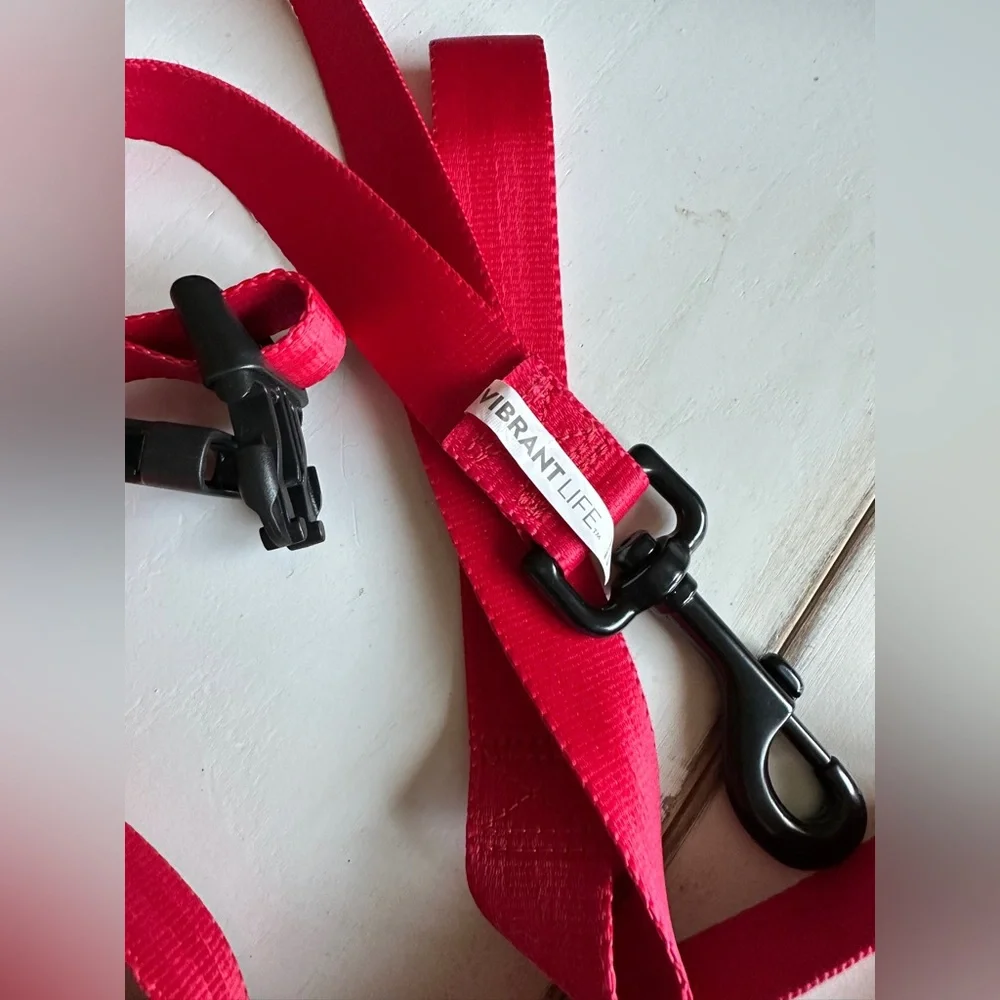 Bright Red Dog Leash Secure Clasps Durable Pet Walking Accessory Safety Lead
